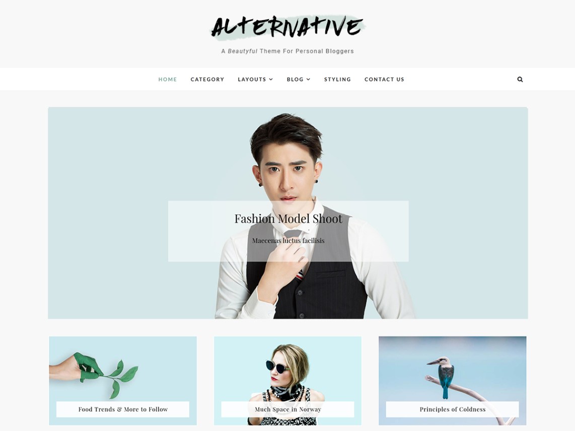 Best Free WordPress Blog Themes 2018 Alternative